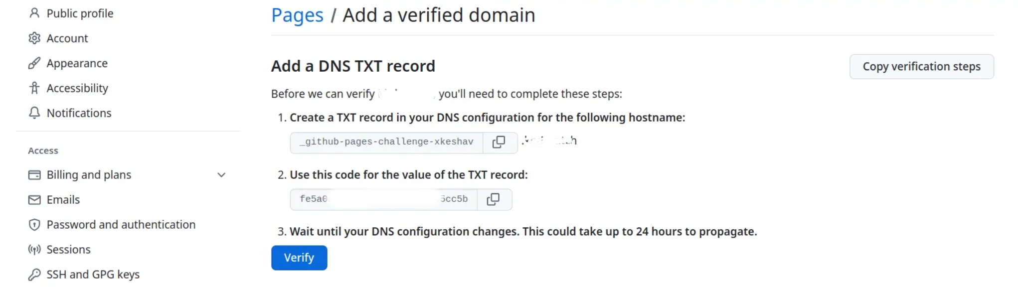 github domain verification page